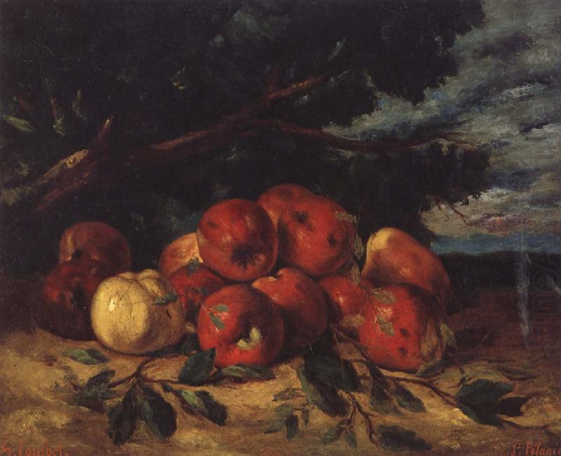 Gustave Courbet Red apples at the Foot of a Tree china oil painting image
